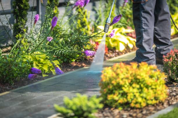 Best Spring Cleaning  in Shelburn, IN